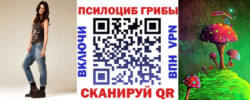наркота  Нерюнгри  Галлюциногенные грибы мицелий 