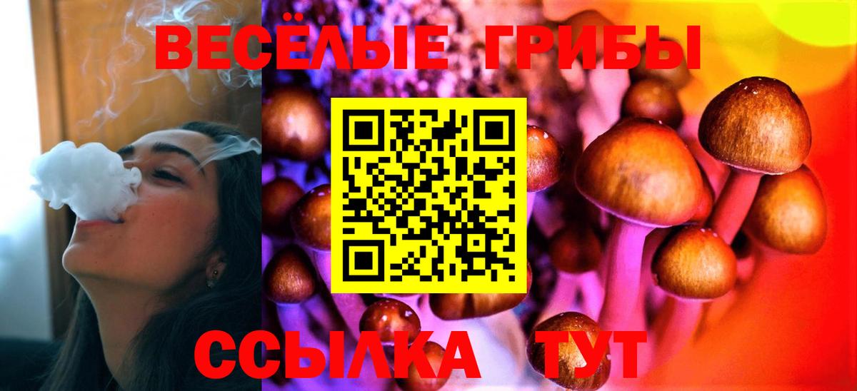 Псилоцибиновые грибы GOLDEN TEACHER Нерюнгри