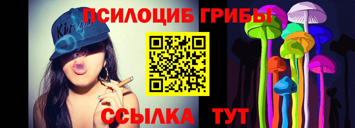 Псилоцибиновые грибы Magic Shrooms Нерюнгри